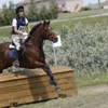 ahta31
