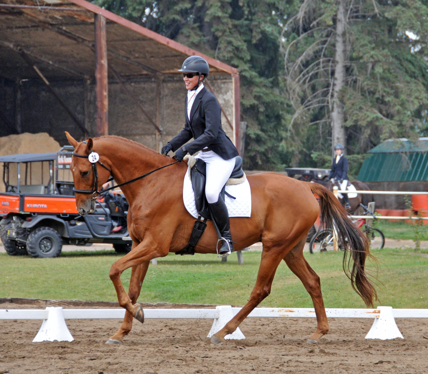 journey horse eventing